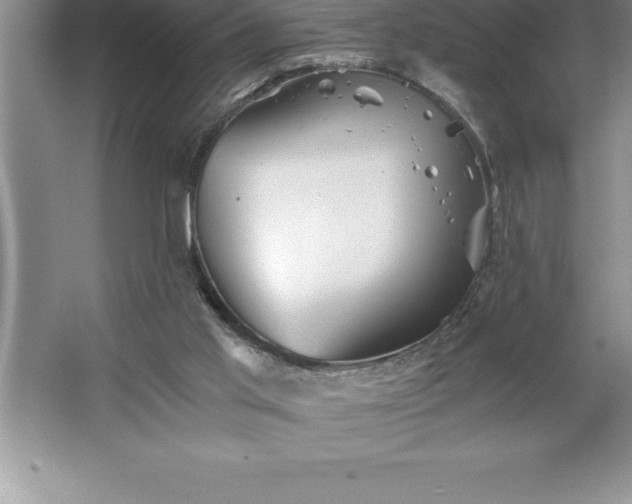 X0000062650013200512281659