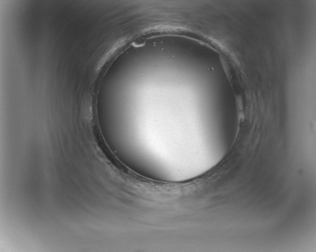 X0000062650015200512281659