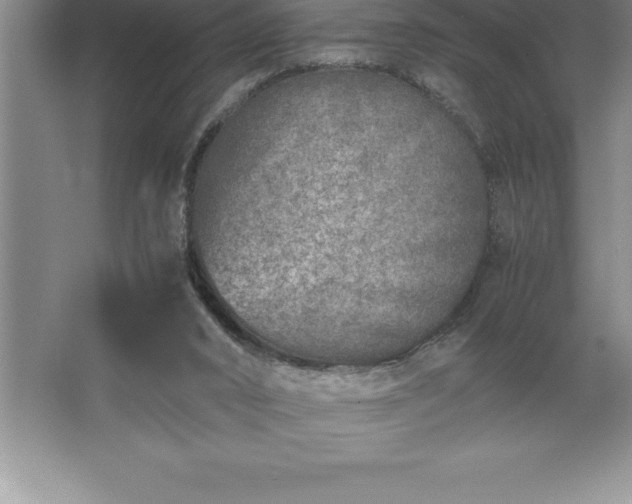 X0000062650016200512281659