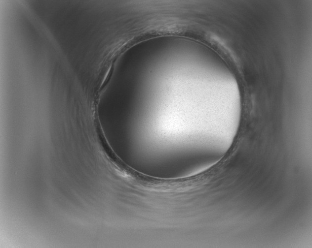 X0000062650017200512281659