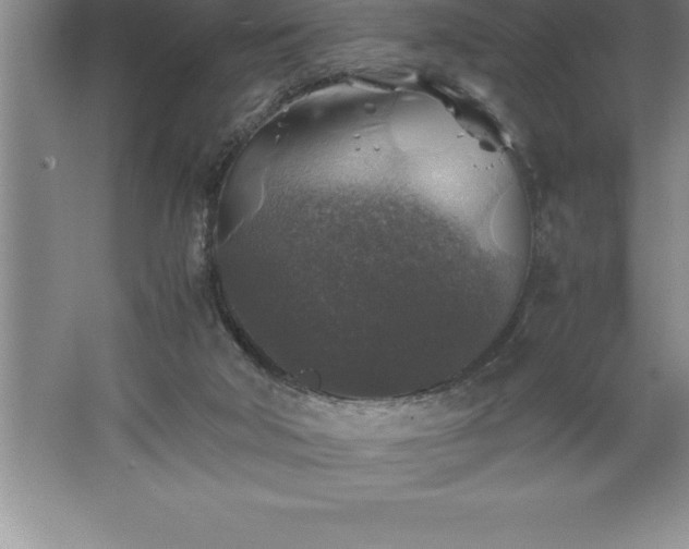 X0000062650018200512281659