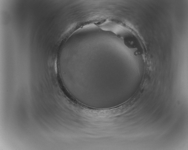 X0000062650019200512281659