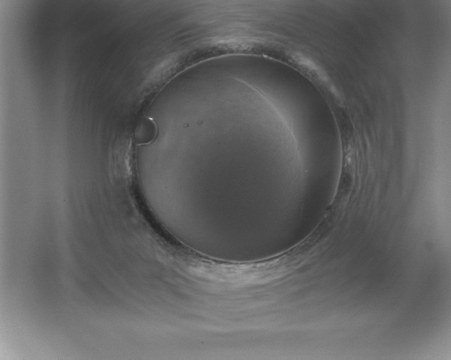 X0000062650023200512281659