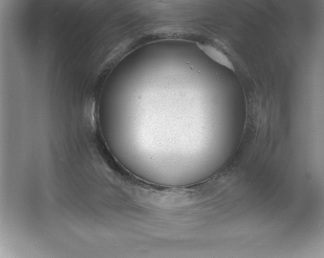 X0000062650024200512281659