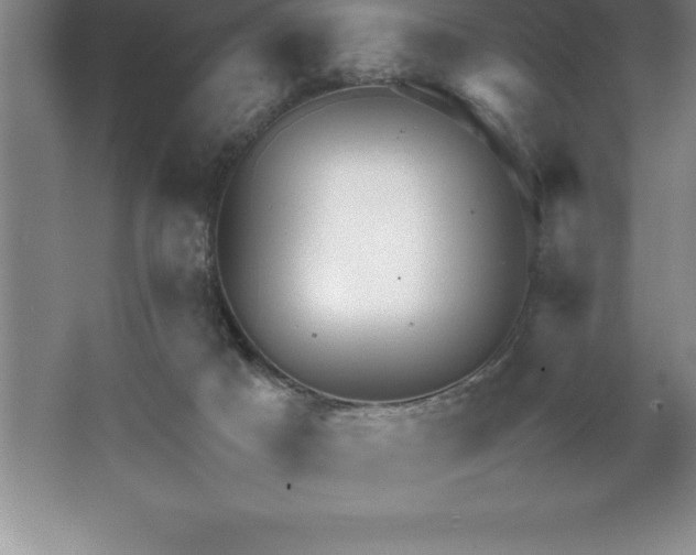 X0000062650025200512281659