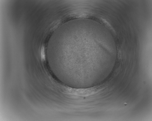 X0000062650026200512281659