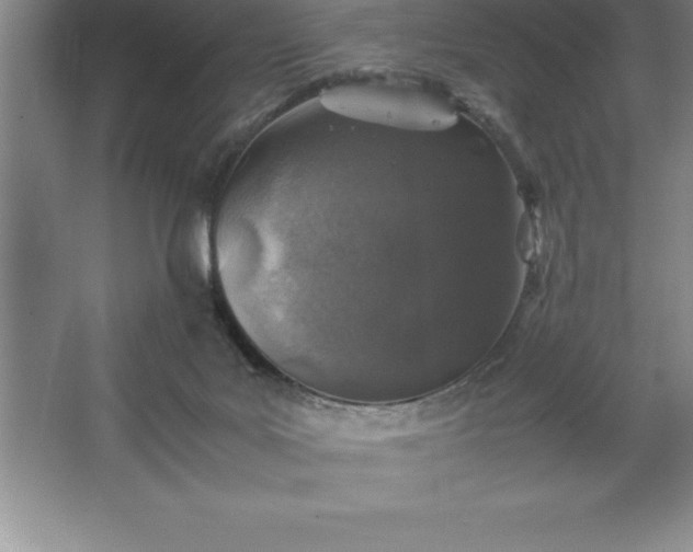 X0000062650027200512281659