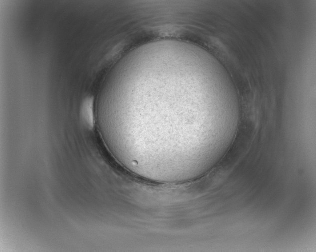 X0000062650028200512281659