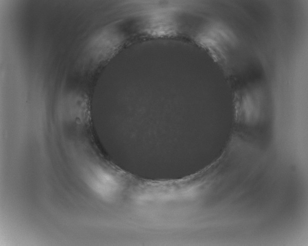 X0000062650029200512281659