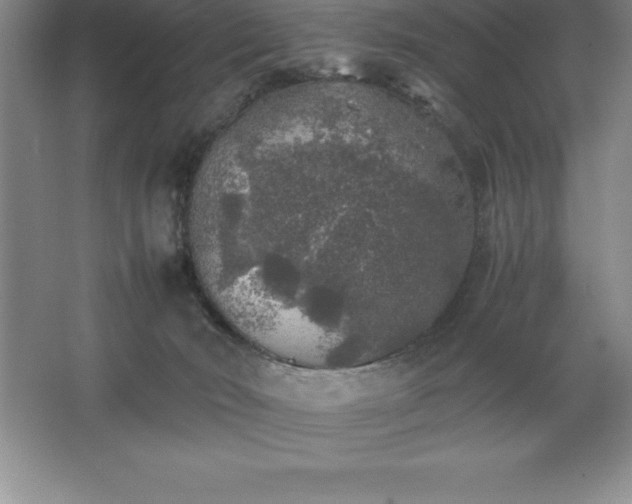 X0000062650030200512281659