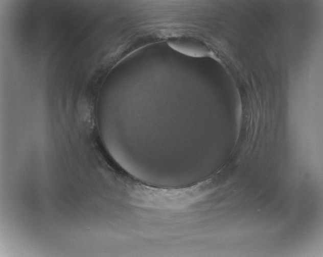 X0000062650031200512281659