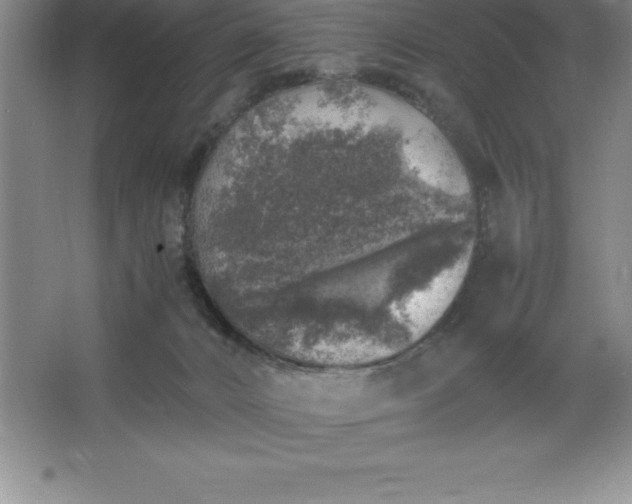 X0000062650032200512281658