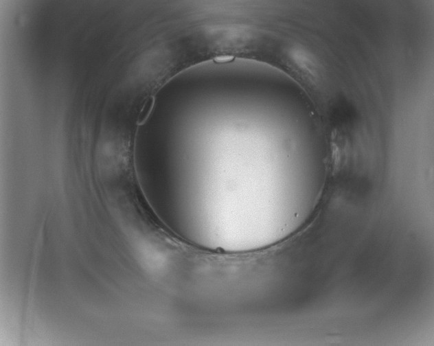 X0000062650033200512281658