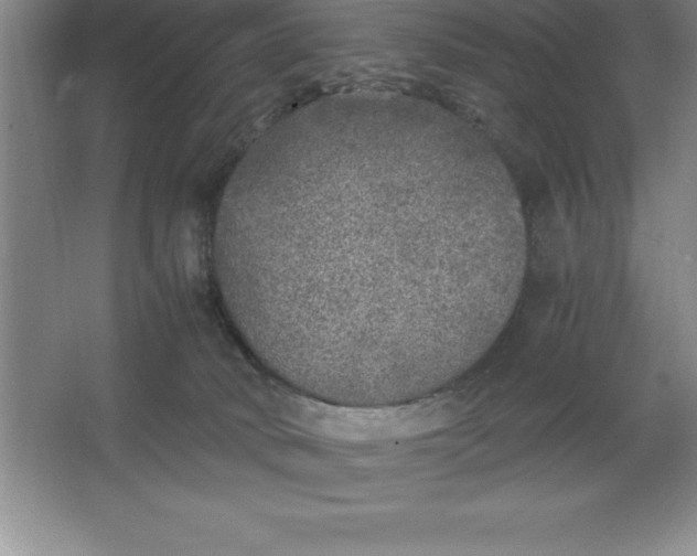 X0000062650034200512281658