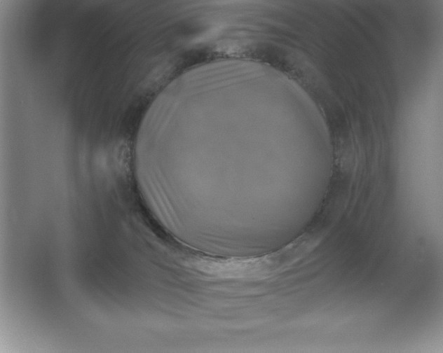 X0000062650036200512281658