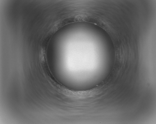 X0000062650038200512281658