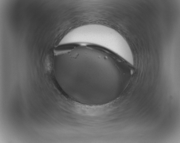 X0000062650039200512281658