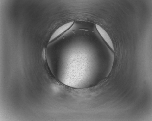 X0000062650041200512281658