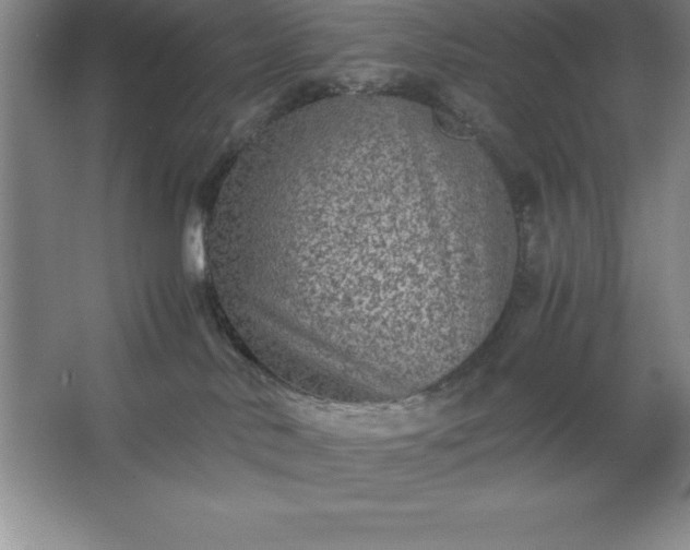 X0000062650042200512281658