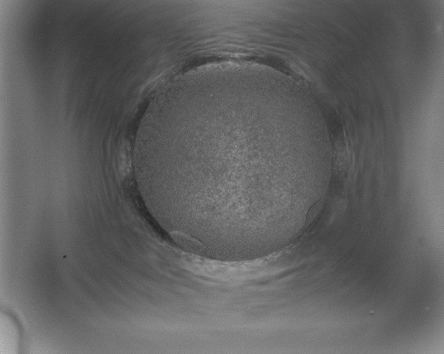 X0000062650043200512281658