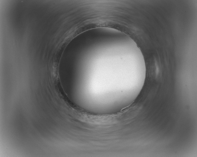 X0000062650044200512281658