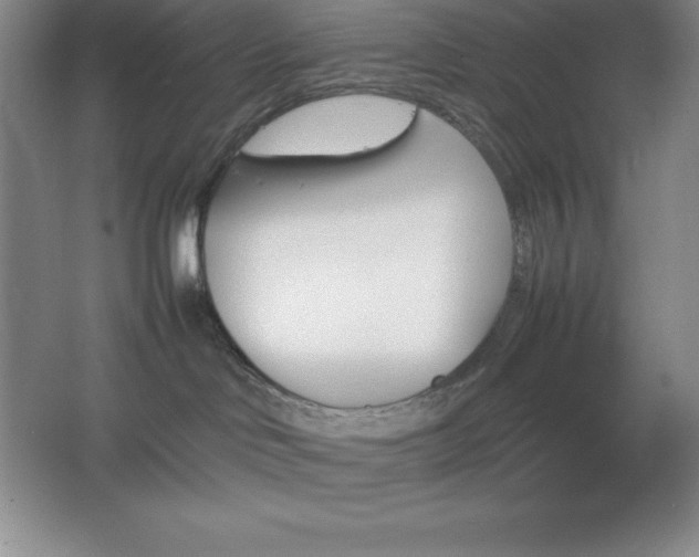 X0000062650046200512281658