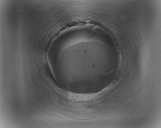 X0000062650048200512281658