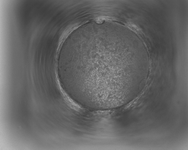 X0000062650049200512281657