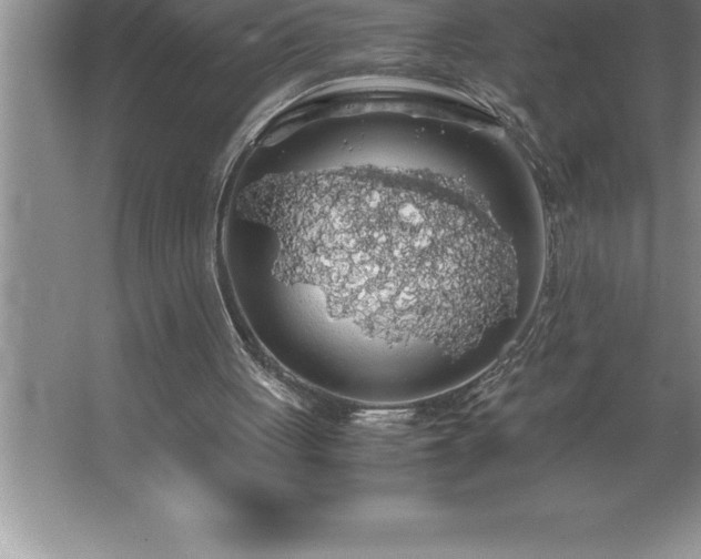 X0000062650051200512281657