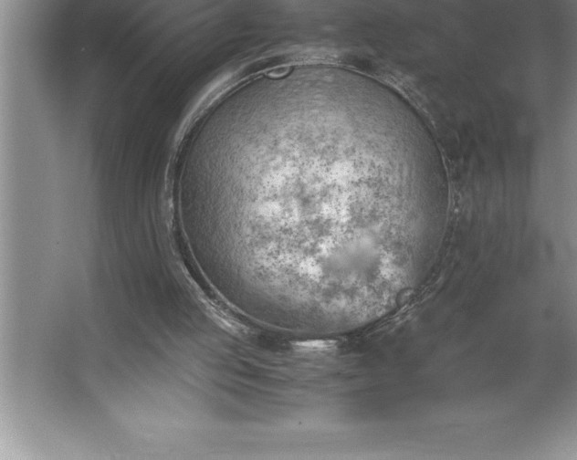 X0000062650053200512281657