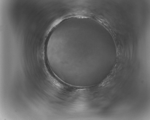 X0000062650054200512281658