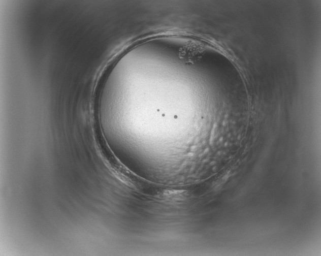 X0000062650055200512281658