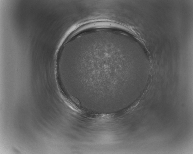 X0000062650056200512281658