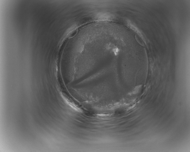 X0000062650059200512281658