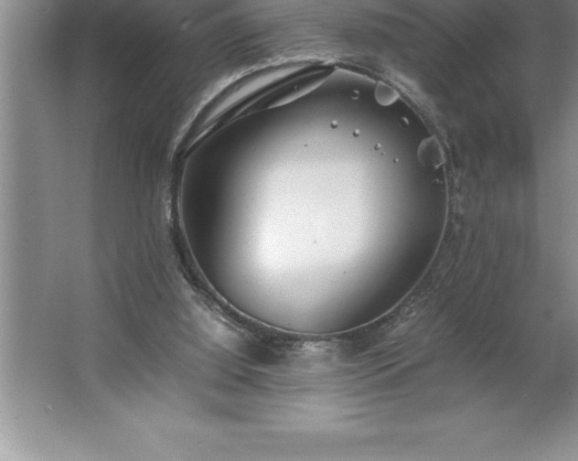 X0000062650060200512281658