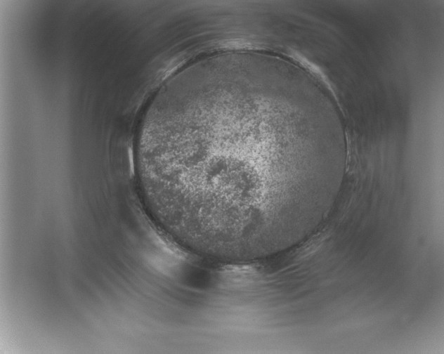 X0000062650061200512281658