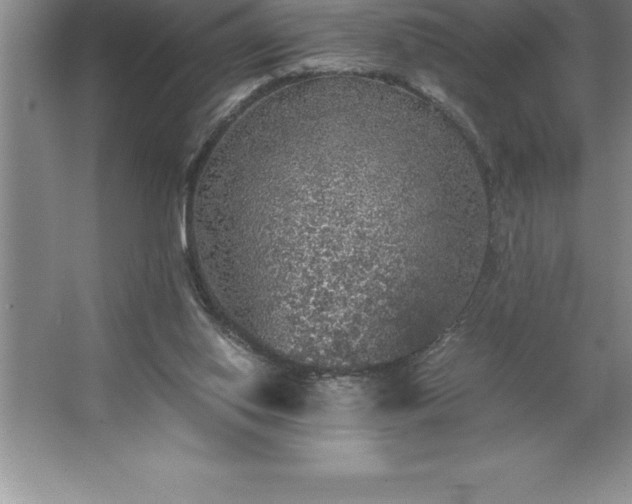 X0000062650062200512281658