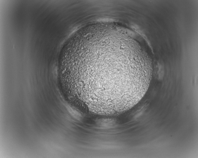 X0000062650063200512281658