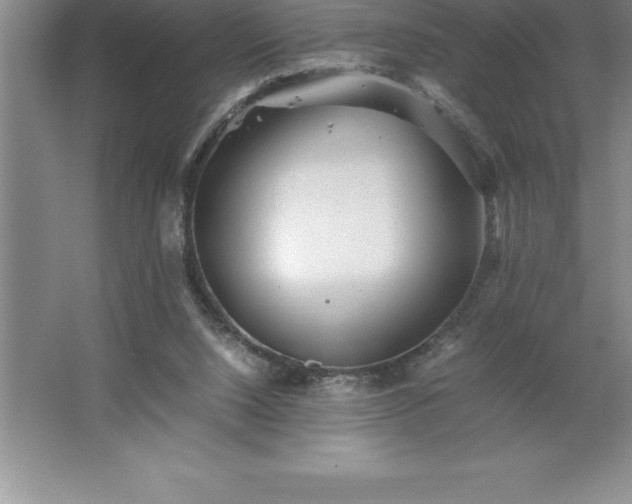 X0000062650064200512281658