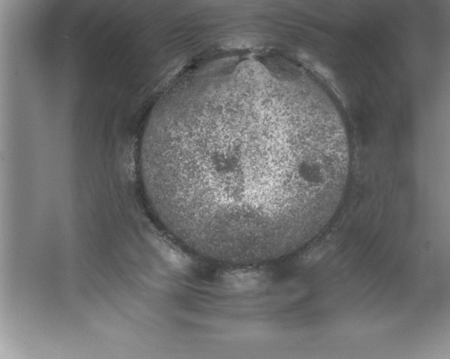 X0000062650065200512281658