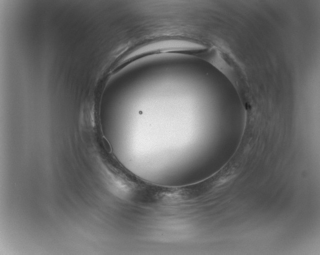 X0000062650068200512281658