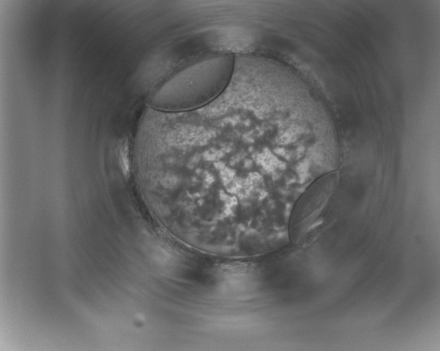 X0000062650069200512281658