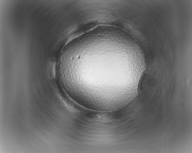 X0000062650070200512281658