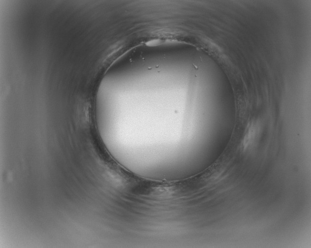 X0000062650071200512281658