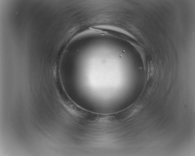 X0000062650072200512281658