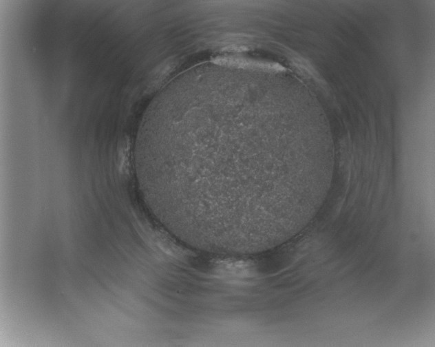 X0000062650073200512281658