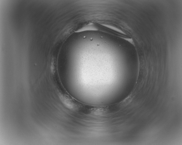 X0000062650074200512281658