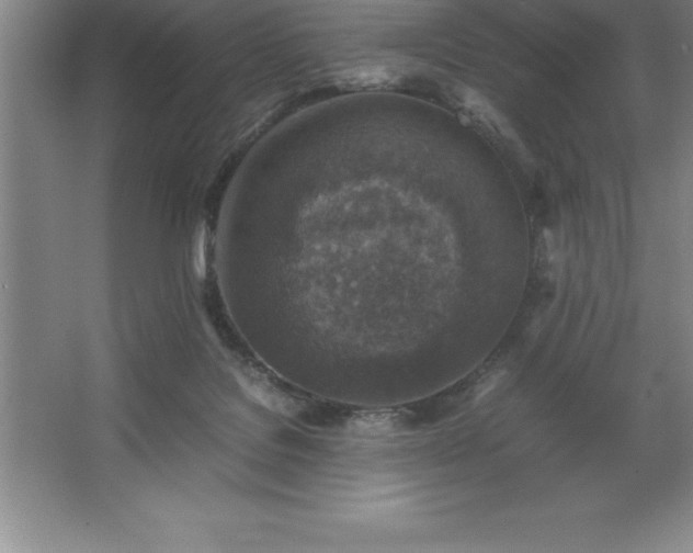 X0000062650076200512281658