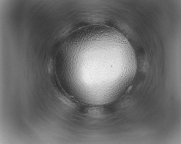 X0000062650077200512281658