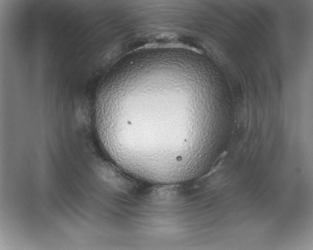 X0000062650078200512281658